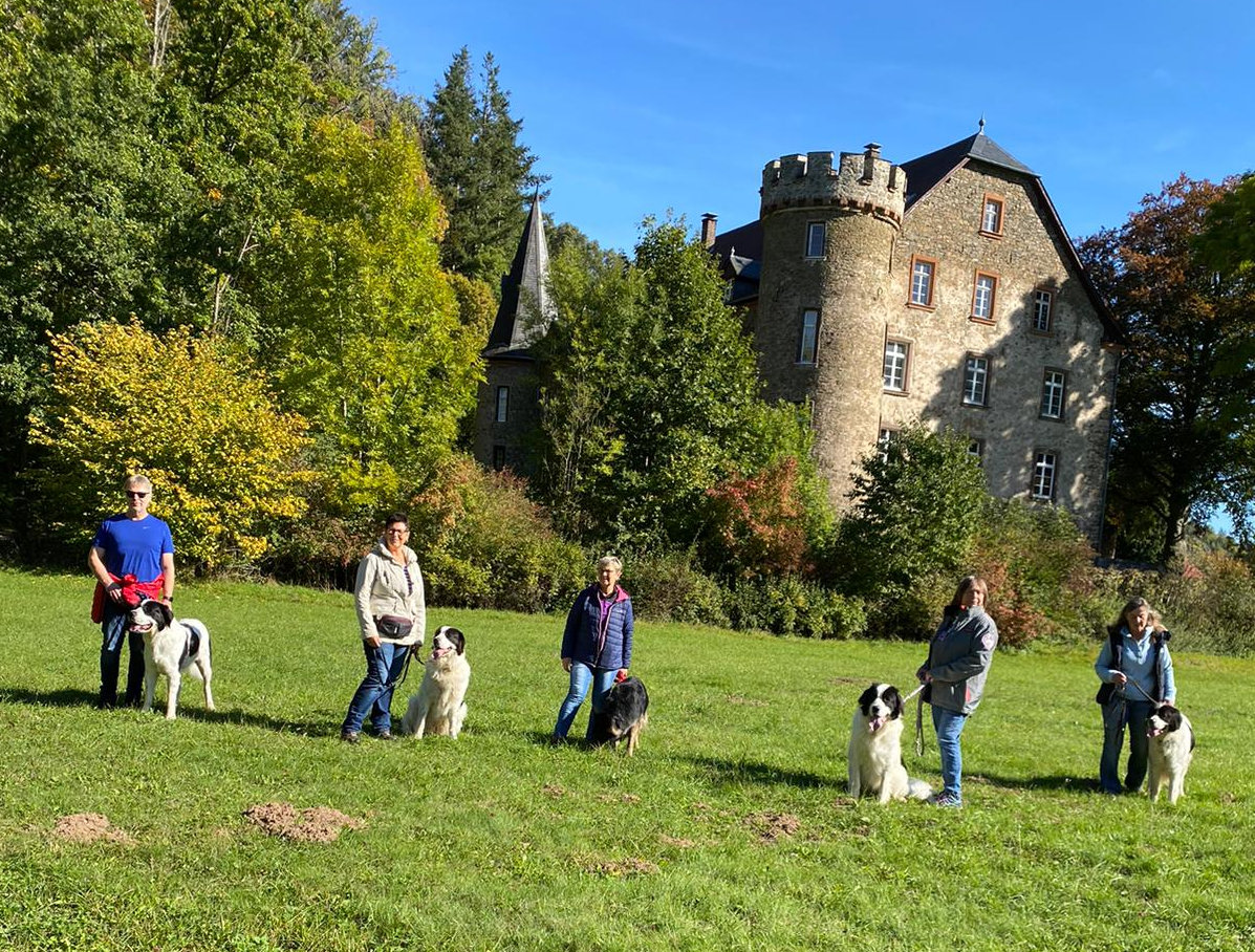 Landseerspaziergang in Niederorke am Edernsee
