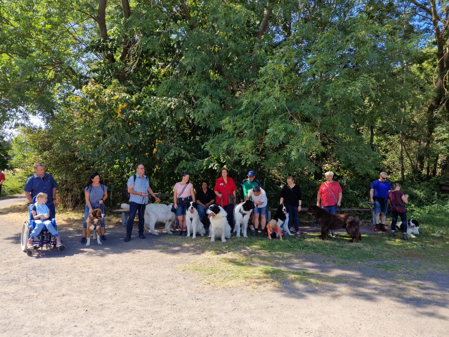 Landseer-Treffen am Laacher See