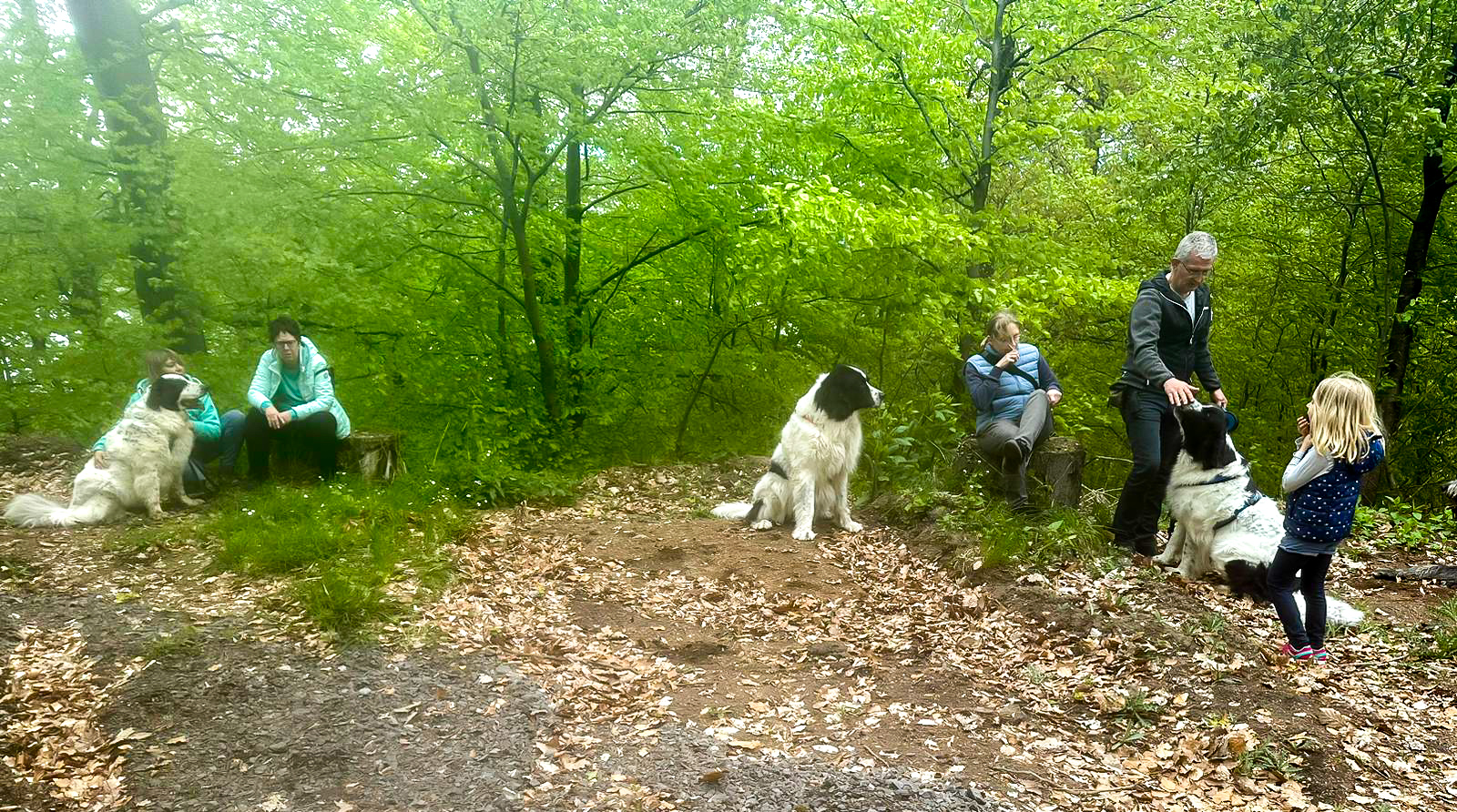 Treffen der Landseer Nothilfe am Laacher See