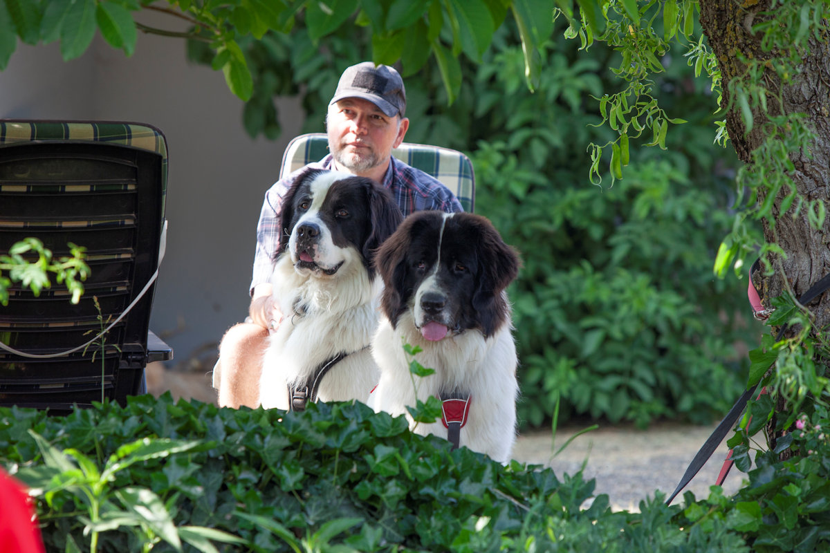 Sommerfest der Landseer-Nothilfe am 17. Juni 2023 auf dem Mühlbachhof in Berg
