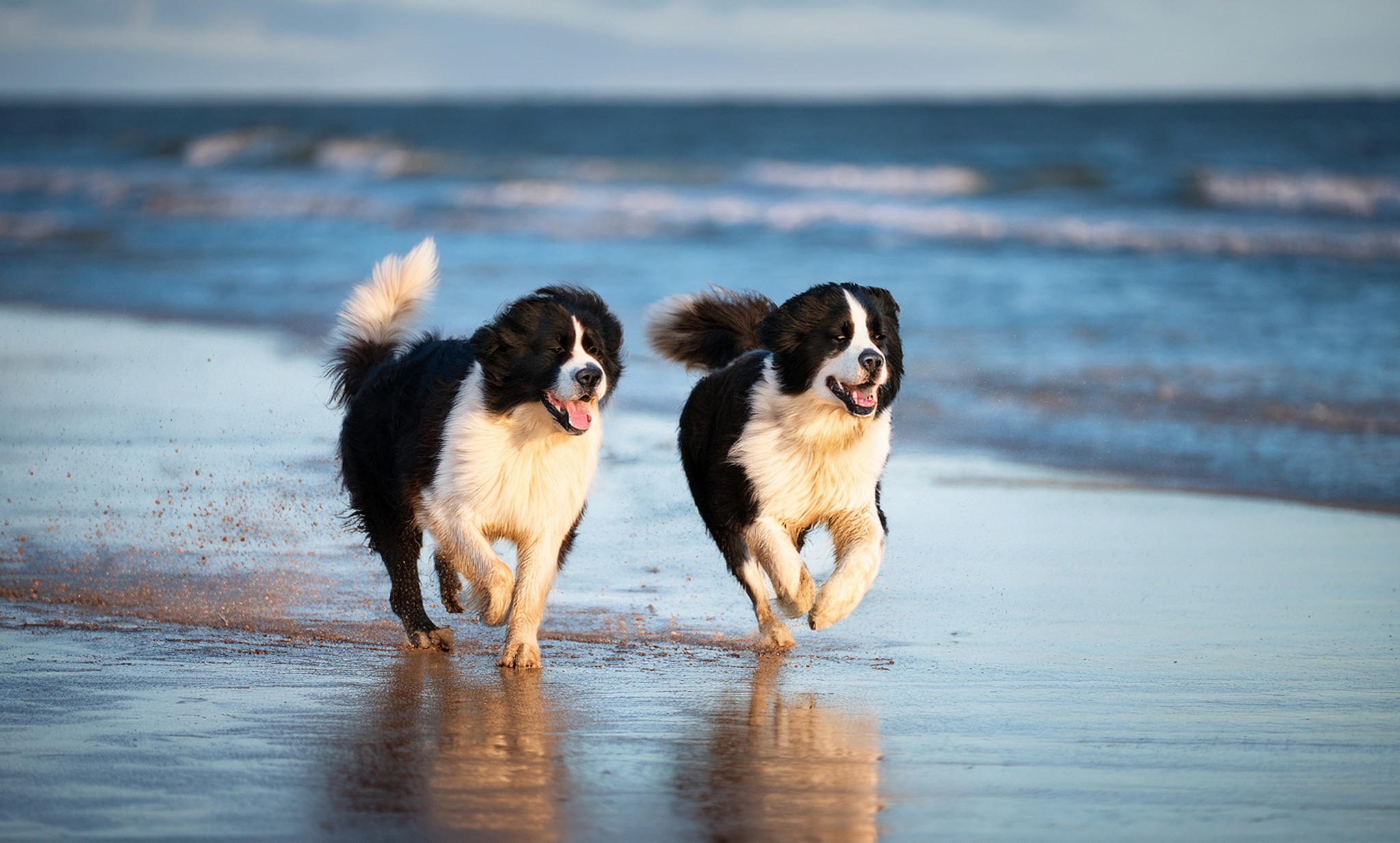 Tipps für Urlaub mit Landseern