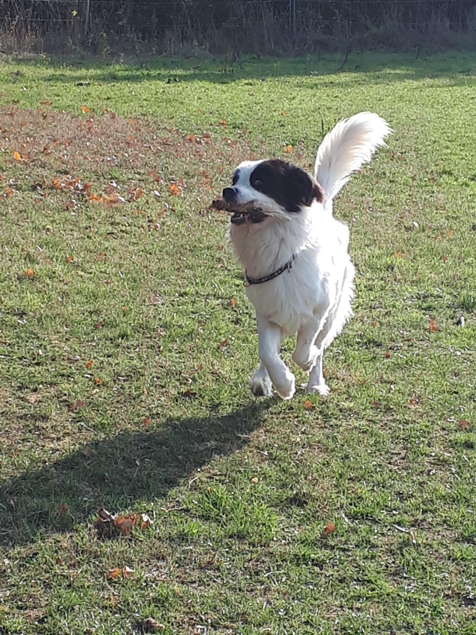 Barni hat uns verlassen