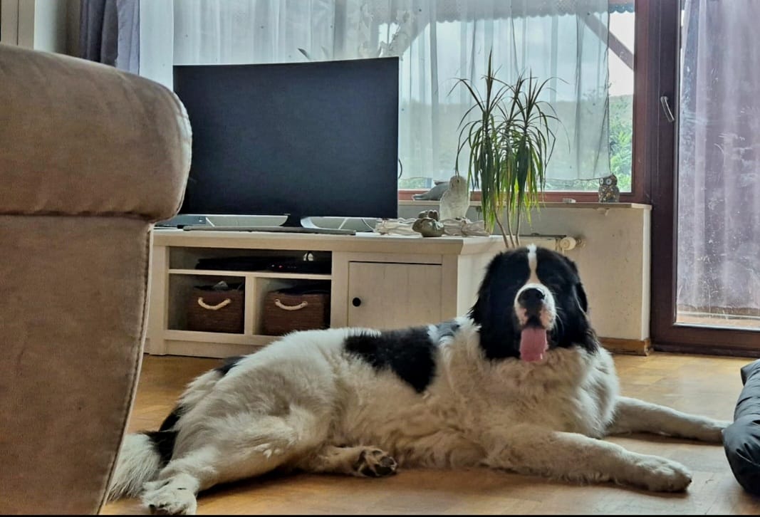 Fiete hat ein neues Zuhause gefunden