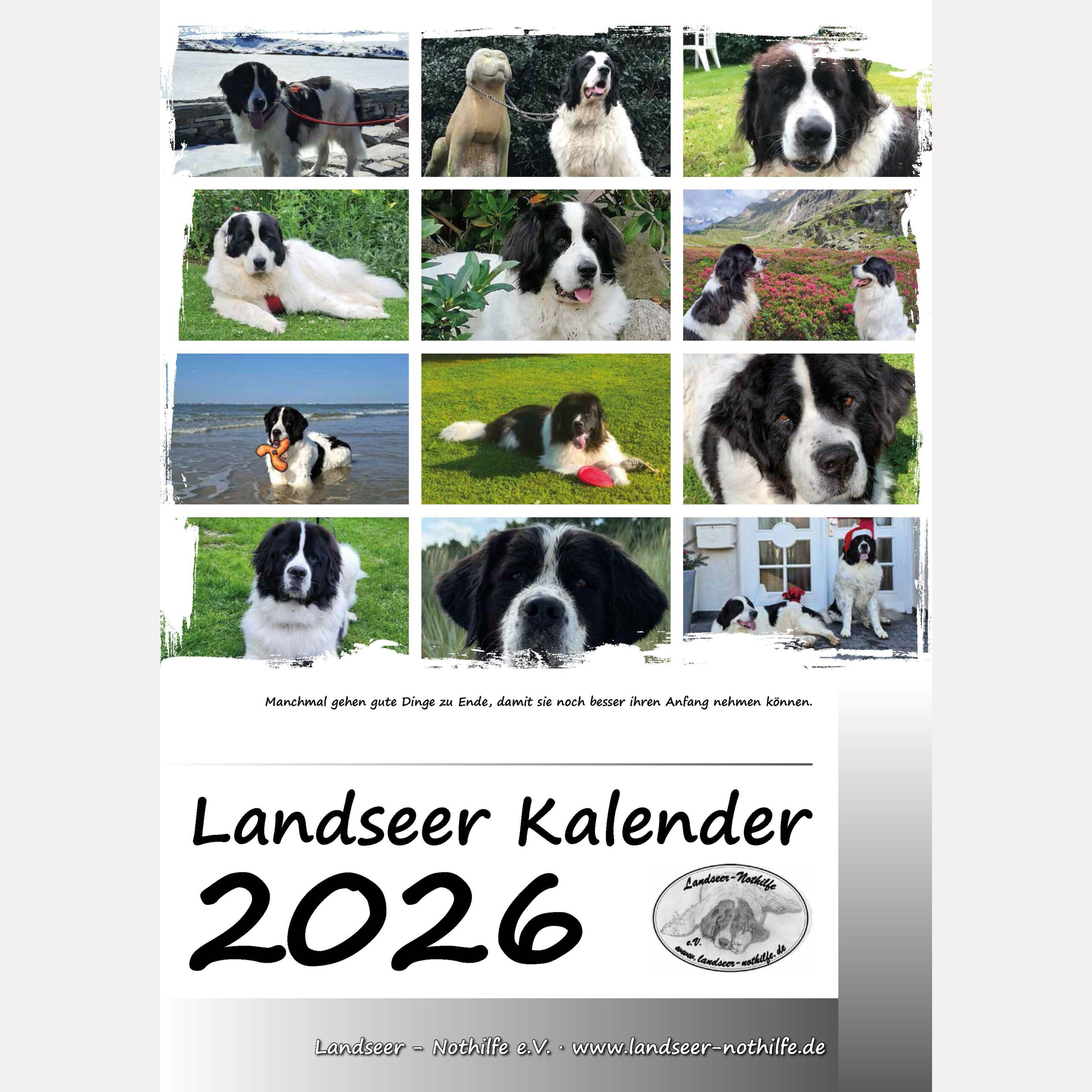 Der neue Landseer Kalender 2026 ist jetzt bestellbar!
