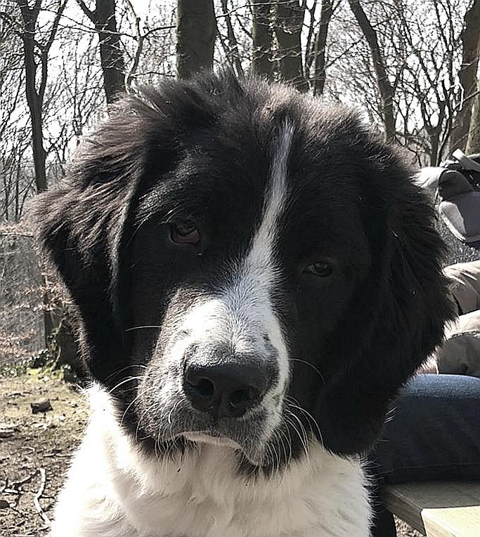 Nyuki hat ein neues Zuhause gefunden :-)