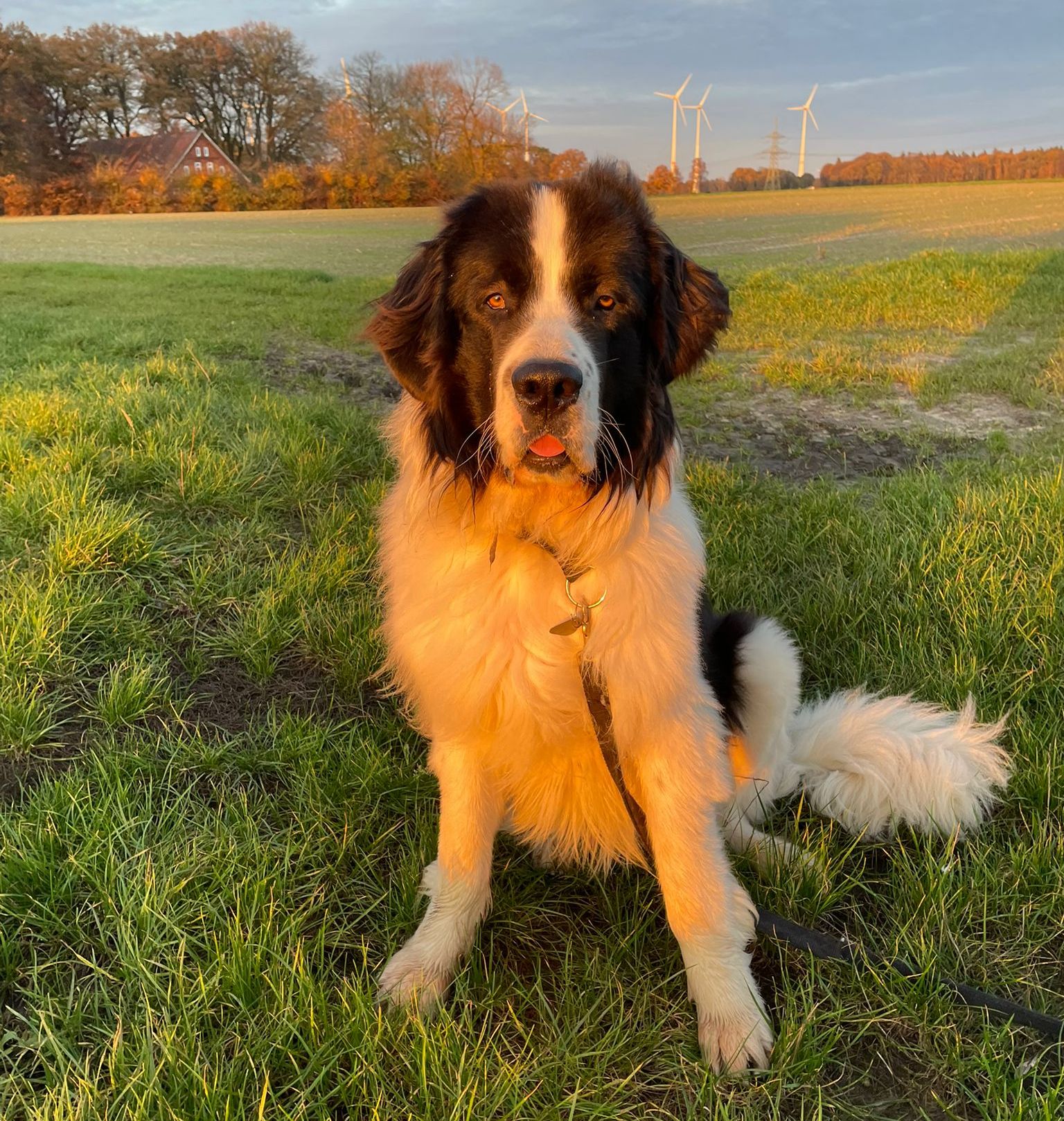 Wir trauern um Newton