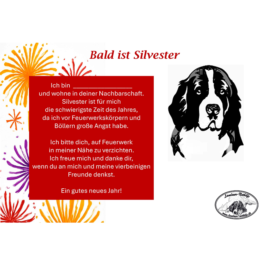 Bald ist Silvester …