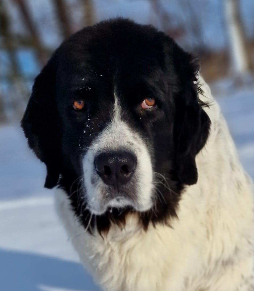 Toni hat uns leider verlassen