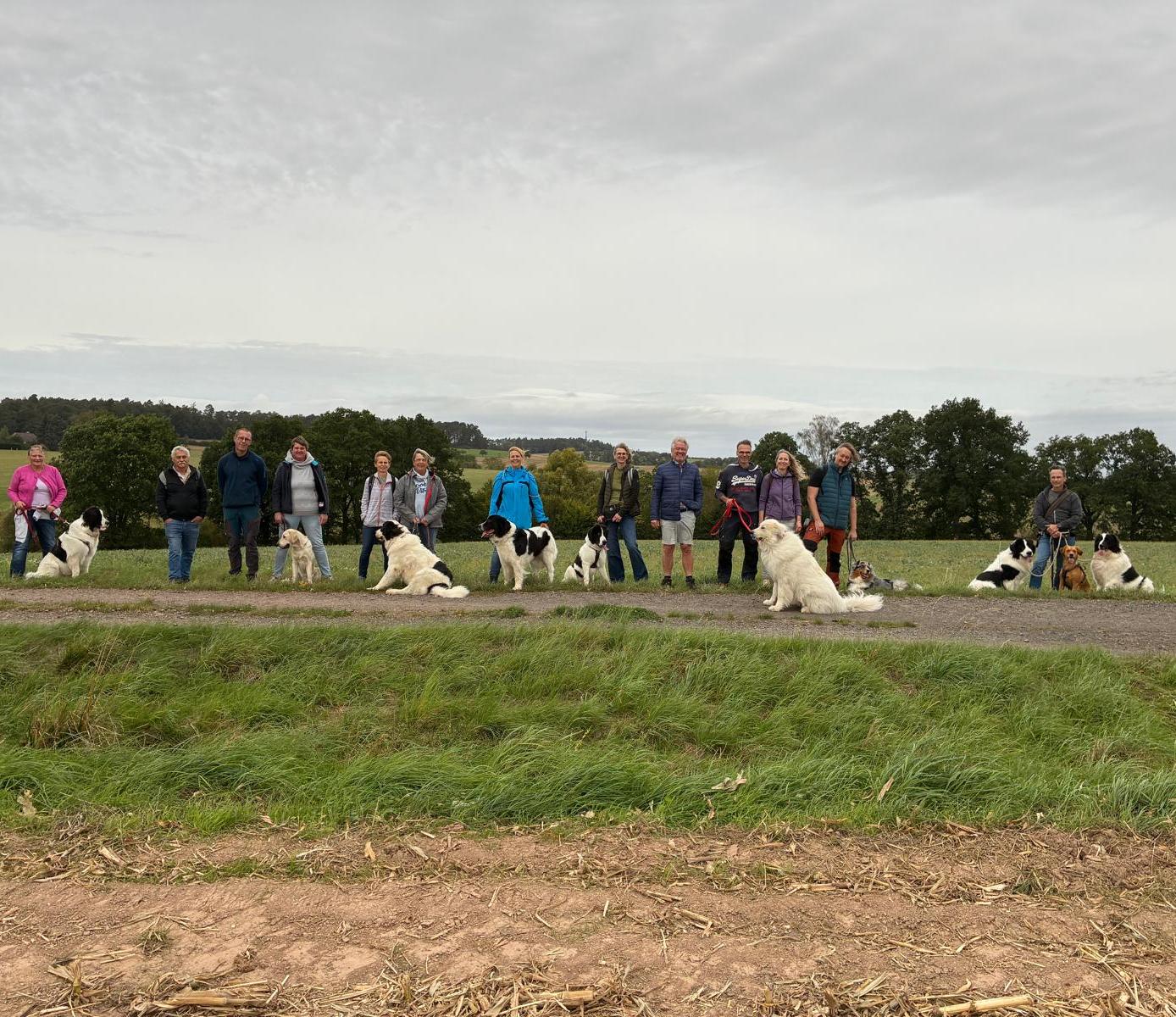Landseer-Spaziergang in Nordhessen
